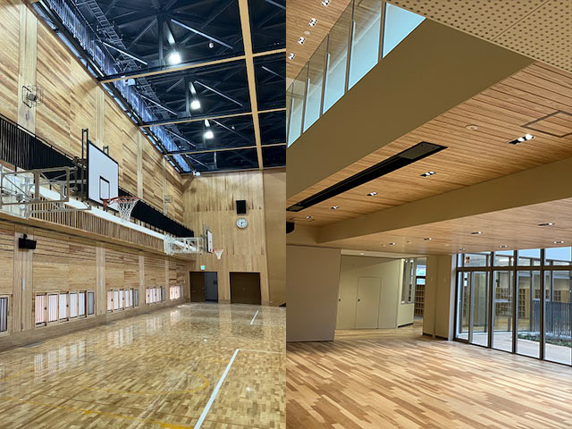 学校